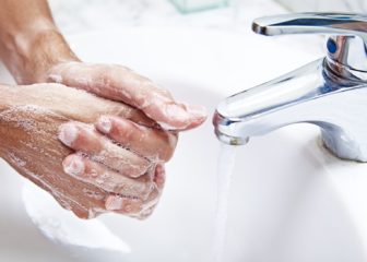 После контакта с кошками всегда необходимо мыть руки