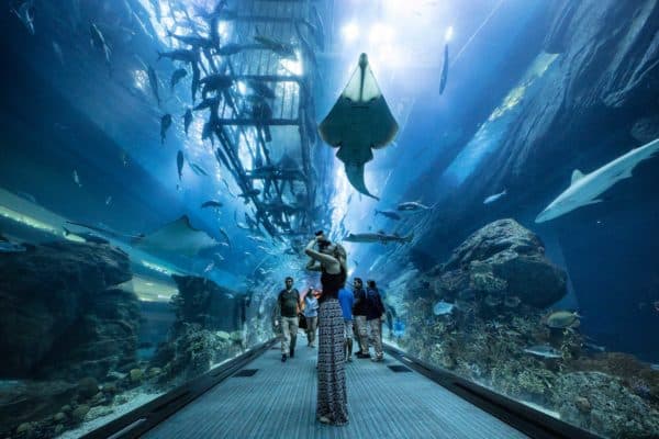 Океанариум Dubai Aquarium (Дубай)