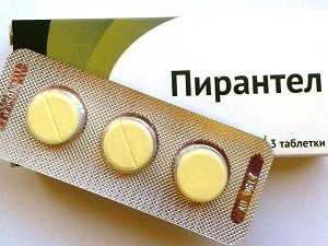 собака ничего не ест и вялая