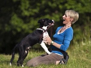 как отучить собаку прыгать от радости