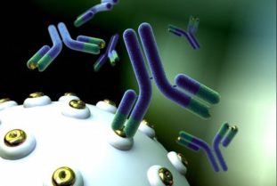 В основе ИФА лежит реакция антиген–антитело