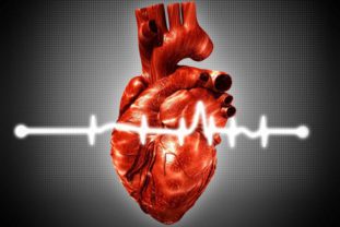 В случае отсутствия своевременного лечения детского висцерального лейшманиоза возможен летальный исход