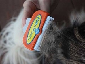 фурминатор для собак что это