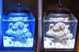 Цветовой спектр