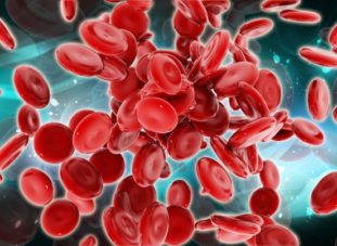 Как очистить кровь от токсинов в домашних условиях?