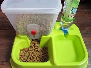 интерактивная миска для собак