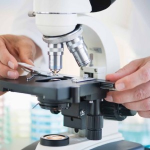 Симптомы грибка стопы Грибок на пятках: симптомы, фото и лечение