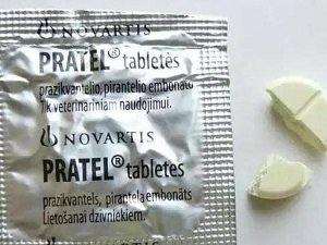 прател для собак