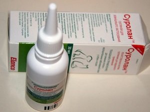 у собаки болит ухо лечение