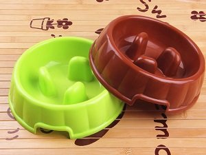 миски для собак купить