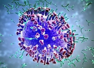 В течение некоторого времени в крови пациента могут быть антитела обеих классов, что необходимо учитывать при расшифровке ИФА