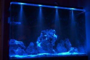 Люминесцентные лампы