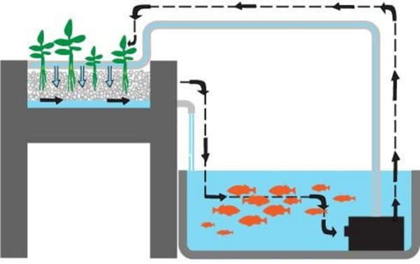 Какие емкости подходят для создания аквапоники