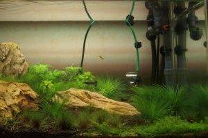 Последовательность монтажа наружного фильтра